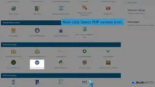 How to Change PHP Version via CloudLinux Selector in DirectAdmin   BLUE ARCTIC