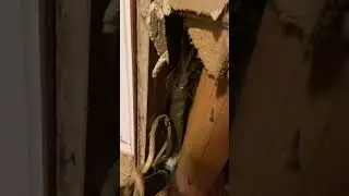 As predicted here are the other window weights&hellip;and no insulation&hellip;