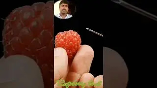 taste of raspberry 🫐🫐