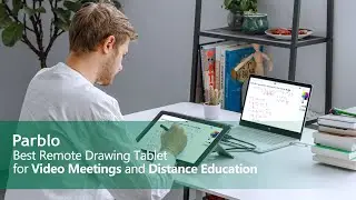 Distance Education and Remote Work with Graphic Tablets