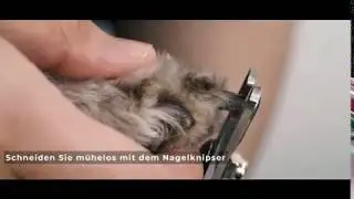 OMORC Hundeschermaschine Schermaschine f&uuml;r Hunde und Katzen, Ger&auml;uscharm und Vibrationsarm, Drahtlos