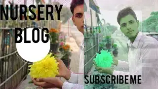 Nursery blog this is full tour #vlog #trending #youtubeshorts #ronaldo 