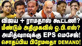 விஜய் + ராமதாஸ் கூட்டணி? மீண்டும் அதிமுகவில் ஓ.பி.எஸ்? Amit Shah | EPS | OPS | Vijay | Ramadoss