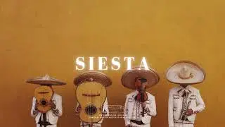 SIESTA | Latin Afrobeat x Arabic Oud Type Beat
