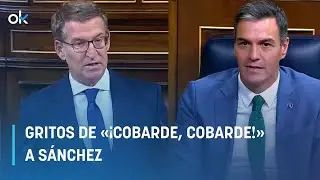 Gritos de &laquo;&iexcl;Cobarde, cobarde!&raquo; a S&aacute;nchez por no dar r&eacute;plica a Feij&oacute;o en el Congreso