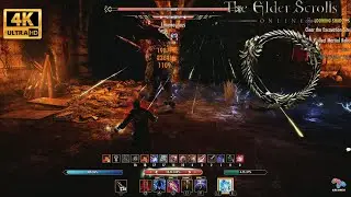 ESO | When a soulsveteran plays ESO |Solo| World boss : Minotaur Limenauruus Boss fight | 4k
