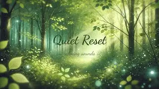 Gentle Piano & Harp Flow | Calm Yet Expressive Background Music (26 Min)