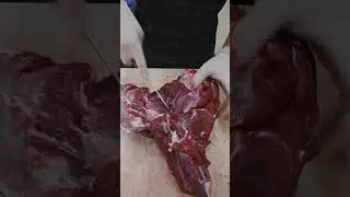 Want to learn how to Debone a Deer Round? 🔪🦌 #shorts