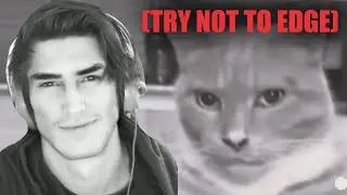 xQc EDGES Reacting to Mewing Tiktoks