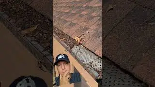 Gutter guards still need maintenance!  #gutters #roofershelper