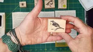 Create with me! #create5minutesaday #bookpages #ephemra