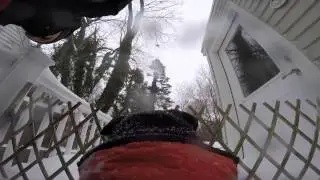 A Dog's Snow Day
