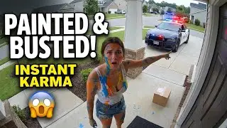 Best Porch Pirate Instant Karma Moments Yet Dye Packs and Karma(New Compilation!)