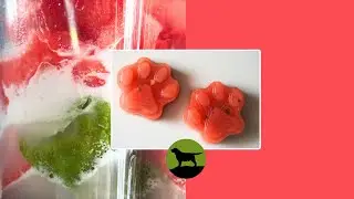 Watermelon and Coconut Pupsicles for Dogs