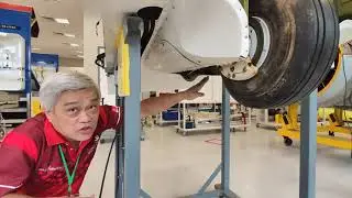 Trainer: Landing Gear (Extension & Retraction)