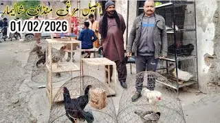 Murghi Mandi Lahore Shalimar Bagh Sunday update Lahore Pakistan 