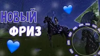 Star Stable Online/Покупка лошади (Фриз)