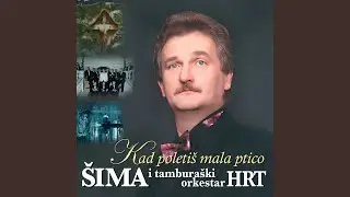 Gradu na Dunavu