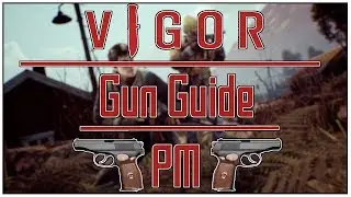 Vigor Gun Guide: PM