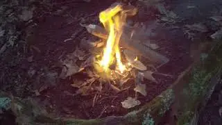 Episode 1: Hiking in southern Ohio
