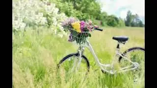 Taurus September 2022 Horoscope