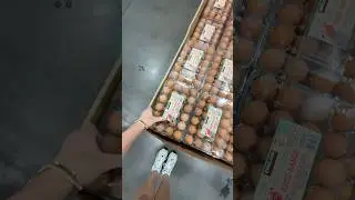come grocery shopping with me 🛒🍒✨  #groceryshopping #shopwithme #asmr #costcofinds #costco