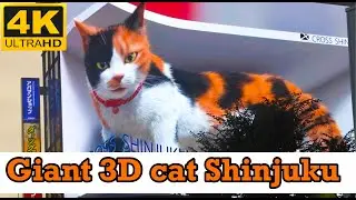 Shinjuku Giant 3d cat night view🇯🇵🐈| Shinjuku city ー新宿東口の猫 🐱| 新宿町