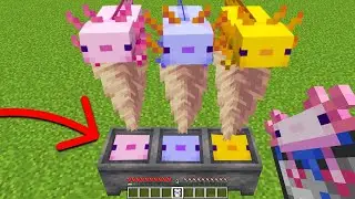 I Busted Every HIDDEN 1.17 Minecraft Myth To See If They Work...