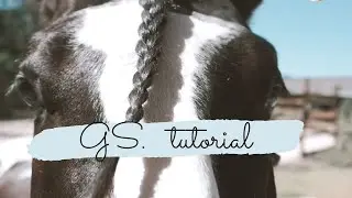 TUTORIAL TRECCIA AL CIUFFO E ALLA CODA ||GS||