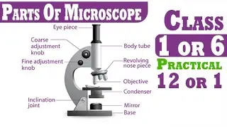 Parts Of Microscope Class 1 P12 Class 6 P1