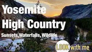 Sunsets, Waterfalls & Wildlife: Majestic Yosemite High Country 2021