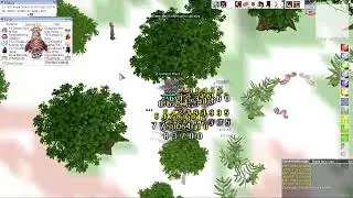 Ragnarok Online : IRO | RG Hybrid :  Physical & Magical Build