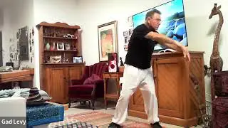 MASTERING THE ART OF MEDITATION IN MOTION BY MASTER GADI LEVY