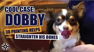 NorthStar VETS Cool Case Dobby