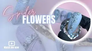 SPIDER FLOWERS