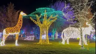 River of Lights in Albuquerque, New Mexico