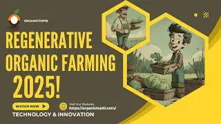 Regenerative Organic Farming Beyond Sustainability Soil Rebuilding in   2025