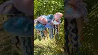 Felted Jellyfish