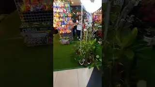 South Town Center#cebucity flowers shop#robinsonsmall
