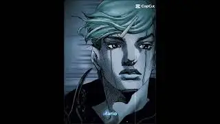 Jobin 🧶🪲