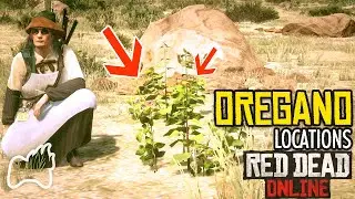 RED DEAD ONLINE Where to Find Oregano? 6 Locations Found - Daily Challenges