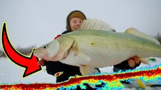 Livescoping Greenback Walleyes On The Red River (Stay Mobile)