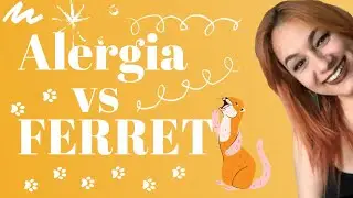 Quem tem alergia pode ter um FERRET?