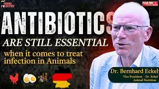 Antibiotics are still Essential ? | Dr Eckel | #DrEckel #animalnutrition  #feedadditives