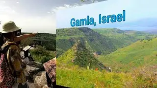 Gamla - Camelbacked Mountain || Golan Heights, Israel