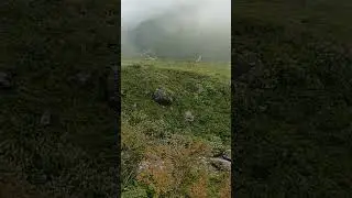 Valley of flowers | phoolon ki wadi