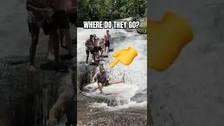 WHERE DO THEY GO? 😱
