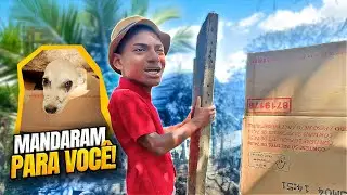 MANDARAM UM CACHORRO PARA BETO TIZIU CUIDAR 😂😂 | BETO TIZIU