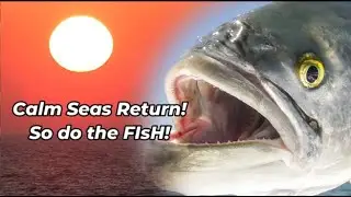 North Carolina Saltwater Fishing Report September 18