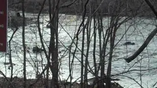 The C and O Canal
